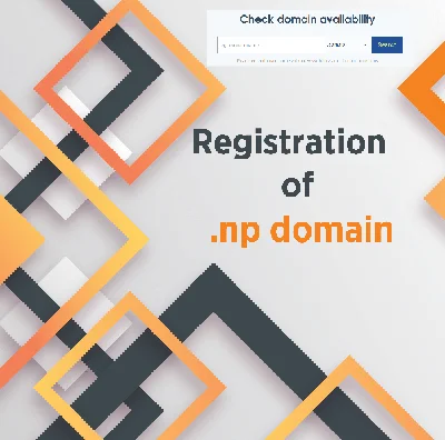 np domain registration